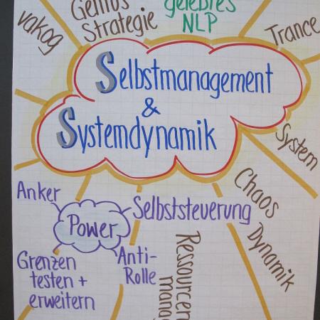 Modul 6 selbstmgt-systemdynamik2