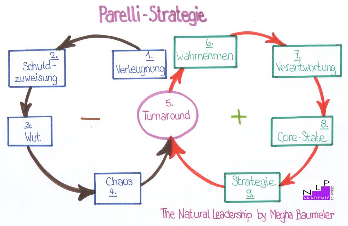 Bild Parelli Strategie